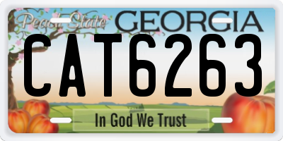GA license plate CAT6263