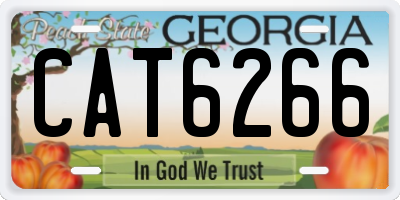 GA license plate CAT6266