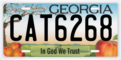 GA license plate CAT6268