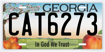 GA license plate CAT6273