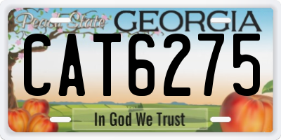 GA license plate CAT6275