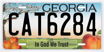GA license plate CAT6284