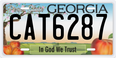 GA license plate CAT6287