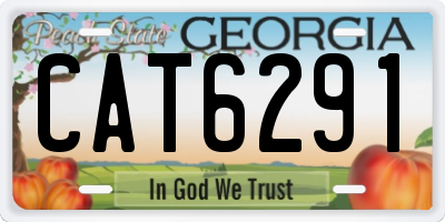 GA license plate CAT6291