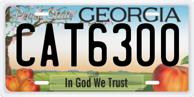 GA license plate CAT6300