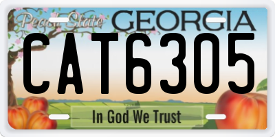 GA license plate CAT6305