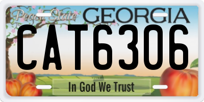 GA license plate CAT6306