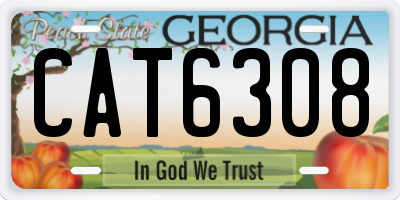 GA license plate CAT6308