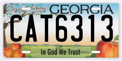 GA license plate CAT6313