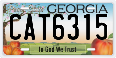 GA license plate CAT6315