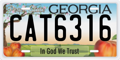 GA license plate CAT6316