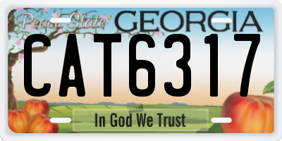 GA license plate CAT6317