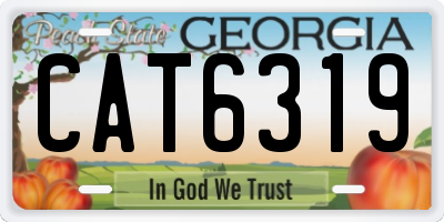 GA license plate CAT6319