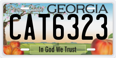 GA license plate CAT6323