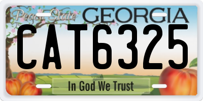 GA license plate CAT6325