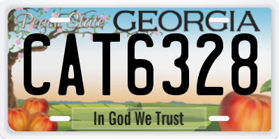 GA license plate CAT6328
