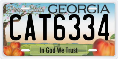 GA license plate CAT6334
