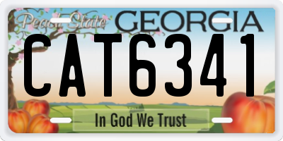 GA license plate CAT6341