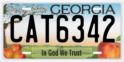 GA license plate CAT6342