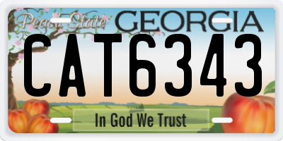 GA license plate CAT6343