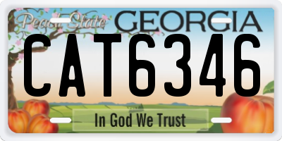 GA license plate CAT6346