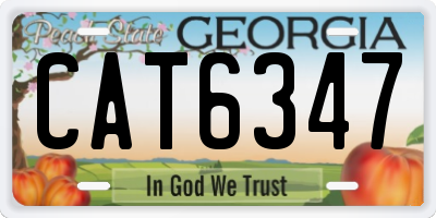 GA license plate CAT6347