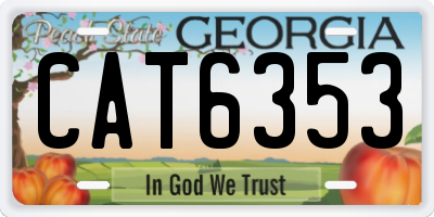 GA license plate CAT6353