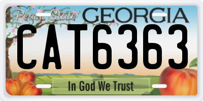 GA license plate CAT6363