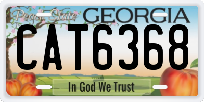 GA license plate CAT6368