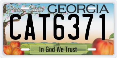 GA license plate CAT6371