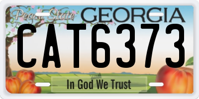 GA license plate CAT6373