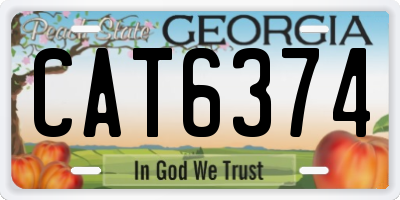 GA license plate CAT6374