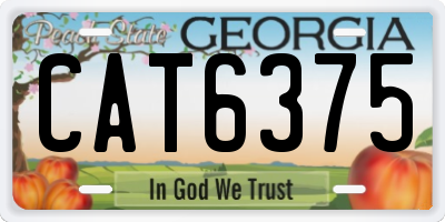 GA license plate CAT6375