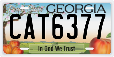 GA license plate CAT6377