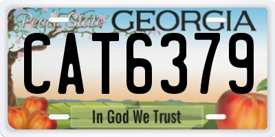 GA license plate CAT6379