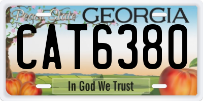 GA license plate CAT6380