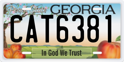 GA license plate CAT6381
