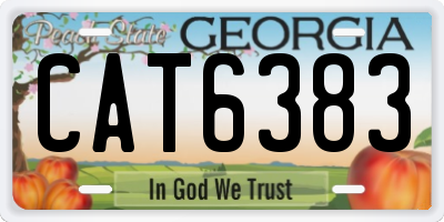 GA license plate CAT6383