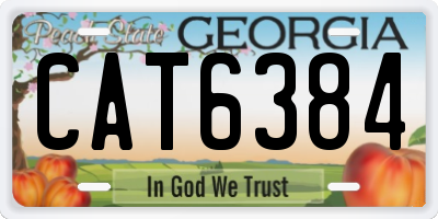 GA license plate CAT6384