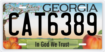 GA license plate CAT6389