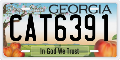 GA license plate CAT6391