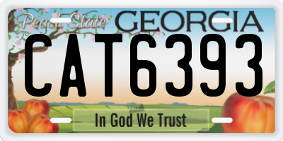 GA license plate CAT6393