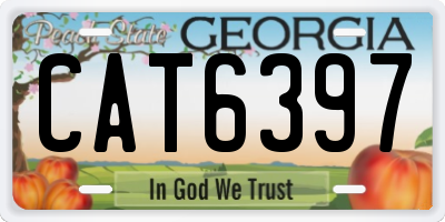 GA license plate CAT6397