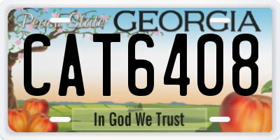 GA license plate CAT6408