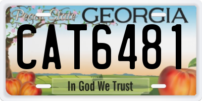 GA license plate CAT6481