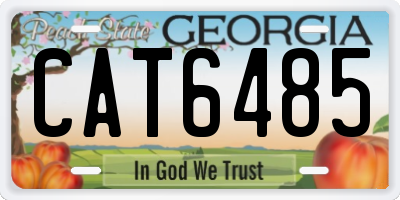 GA license plate CAT6485