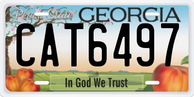GA license plate CAT6497