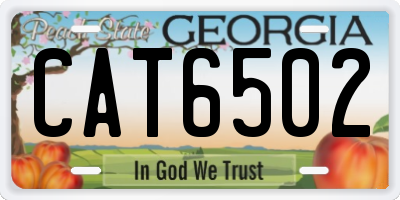 GA license plate CAT6502