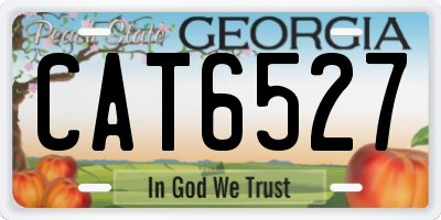 GA license plate CAT6527