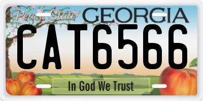 GA license plate CAT6566